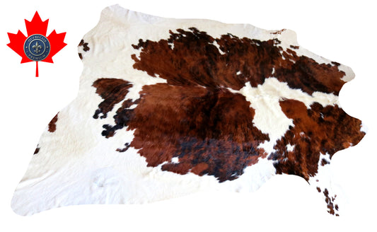 300013- Cowhide Rug Tapis Peau de Vache -BIG SIZE XL Collection Quebecuir Premium