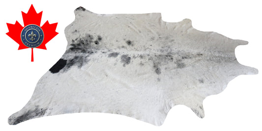 300014- Cowhide Rug Tapis Peau de Vache -BIG SIZE XL Collection Quebecuir Premium