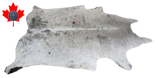 300015- Cowhide Rug Tapis Peau de Vache -BIG SIZE XL Collection Quebecuir Premium