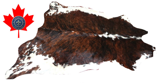 300016- Cowhide Rug Tapis Peau de Vache -BIG SIZE XL Collection Quebecuir Premium