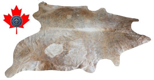 300021- Cowhide Rug Tapis Peau de Vache -BIG SIZE XL Collection Quebecuir Premium