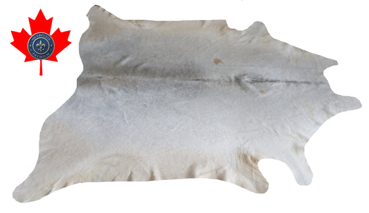 300022- Cowhide Rug Tapis Peau de Vache -BIG SIZE XL Collection Quebecuir Premium