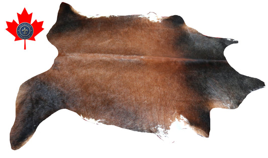 200441 - Cowhide Rug Tapis Peau de Vache     Collection Quebecuir Premium