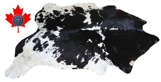 300024- Cowhide Rug Tapis Peau de Vache -BIG SIZE XL Collection Quebecuir Premium