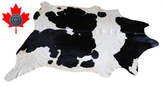 300025- Cowhide Rug Tapis Peau de Vache -BIG SIZE XL Collection Quebecuir Premium