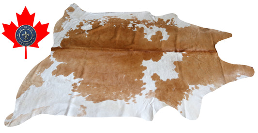300029 - Cowhide Rug Tapis Peau de Vache -BIG SIZE XL Collection Quebecuir Premium