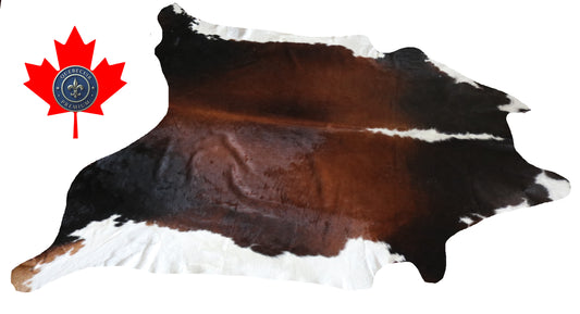 300031 - Cowhide Rug Tapis Peau de Vache -BIG SIZE XL Collection Quebecuir Premium