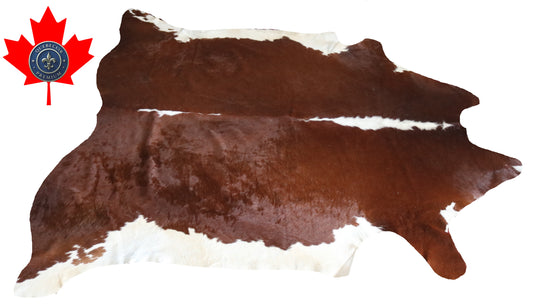 300049 - Cowhide Rug Tapis Peau de Vache -BIG SIZE XL Collection Quebecuir Premium