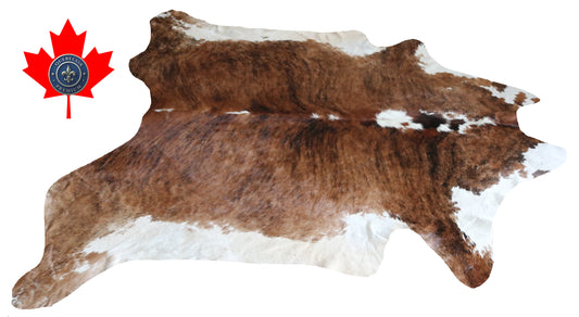 300051 - Cowhide Rug Tapis Peau de Vache -BIG SIZE XL Collection Quebecuir Premium