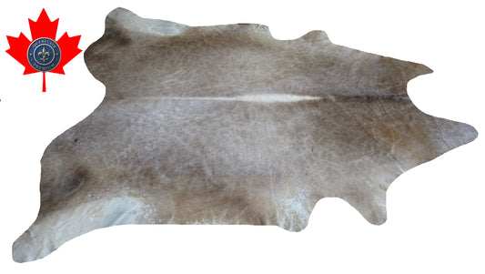 300061 - Cowhide Rug Tapis Peau de Vache -BIG SIZE XL Collection Quebecuir Premium