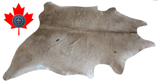 300065 - Cowhide Rug Tapis Peau de Vache  Collection Quebecuir Premium