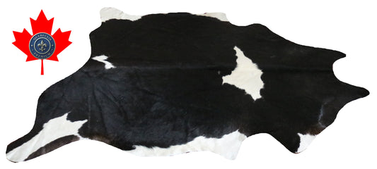 300068 - Cowhide Rug Tapis Peau de Vache -BIG SIZE XL Collection Quebecuir Premium