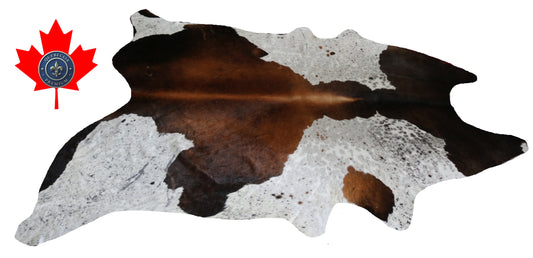 300080- Cowhide Rug Tapis Peau de Vache -BIG SIZE XL Collection Quebecuir Premium