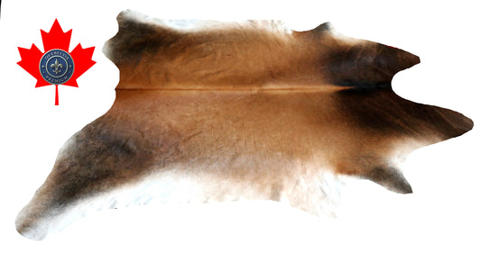 300081- Cowhide Rug Tapis Peau de Vache -BIG SIZE XL Collection Quebecuir Premium