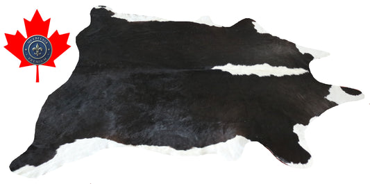 300082- Cowhide Rug Tapis Peau de Vache -BIG SIZE XL Collection Quebecuir Premium