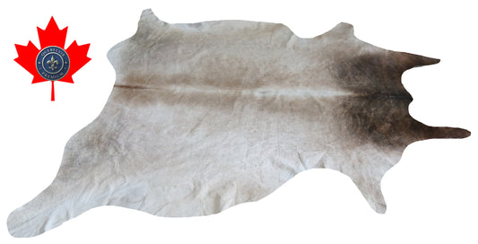 300087- Cowhide Rug Tapis Peau de Vache -BIG SIZE XL Collection Quebecuir Premium