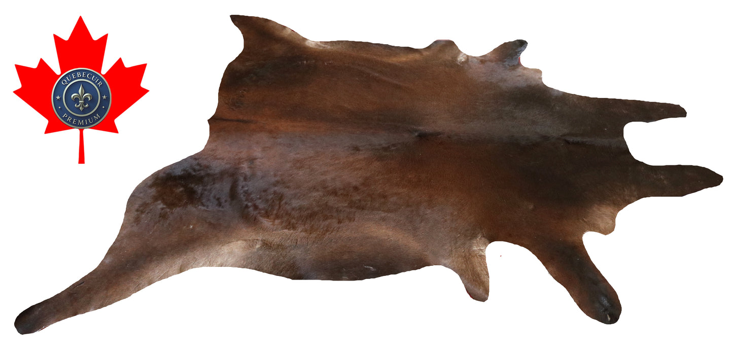 300097- Cowhide Rug Tapis Peau de Vache -BIG SIZE XL Collection Quebecuir Premium