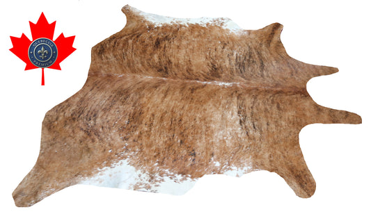 300104- Cowhide Rug Tapis Peau de Vache -BIG SIZE XL Collection Quebecuir Premium