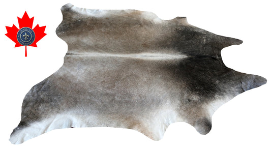300110- Cowhide Rug Tapis Peau de Vache -BIG SIZE XL Collection Quebecuir Premium