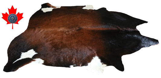 300131 - Cowhide Rug Tapis Peau de Vache -BIG SIZE XL Collection Quebecuir Premium