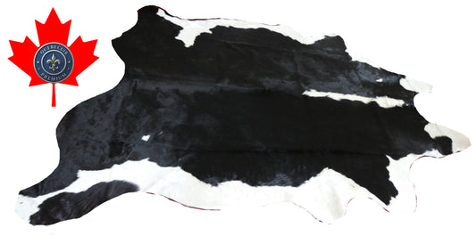 99060- Cowhide Rug Tapis Peau de Vache SUPER BIG SIZE XXXL - Collection Quebecuir Premium
