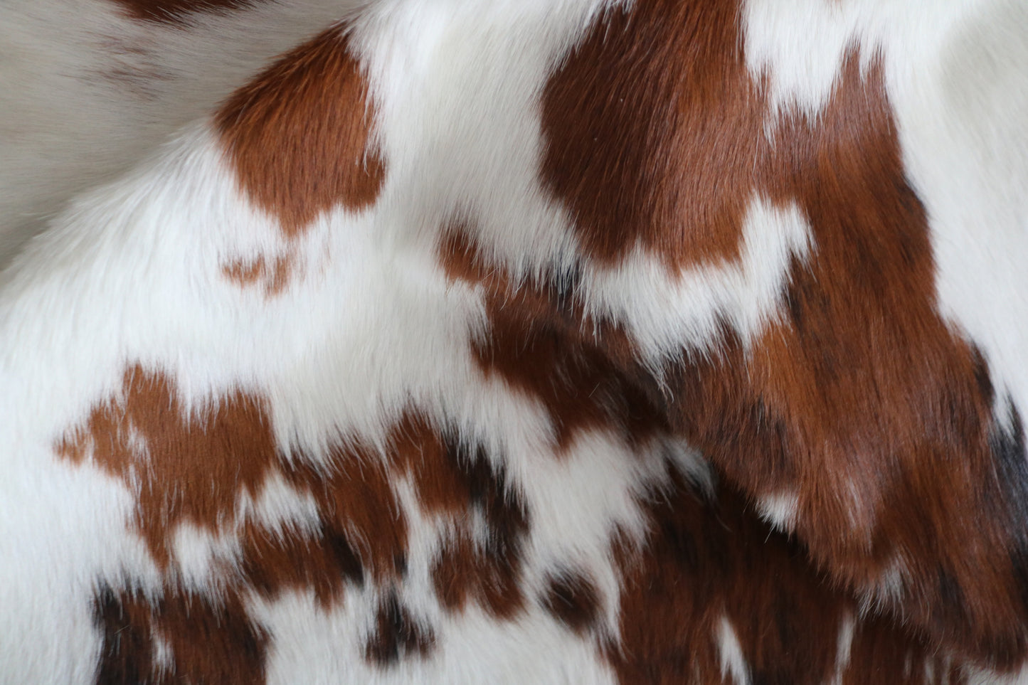 99063 - Cowhide Rug Tapis Peau de Vache  Collection Quebecuir Premium