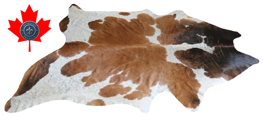 300145 - Cowhide Rug Tapis Peau de Vache -BIG SIZE XL Collection Quebecuir Premium