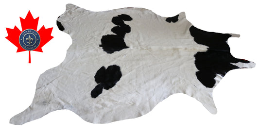 300150 - Cowhide Rug Tapis Peau de Vache -BIG SIZE XL Collection Quebecuir Premium