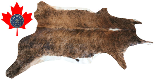 300152 - Cowhide Rug Tapis Peau de Vache -BIG SIZE XL Collection Quebecuir Premium
