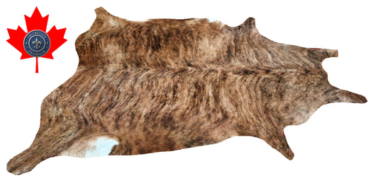 300161 - Cowhide Rug Tapis Peau de Vache -BIG SIZE XL Collection Quebecuir Premium