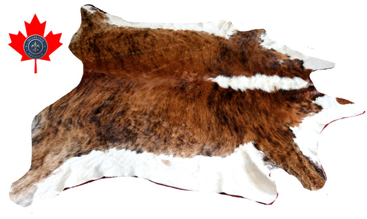 300163 - Cowhide Rug Tapis Peau de Vache -BIG SIZE XL Collection Quebecuir Premium