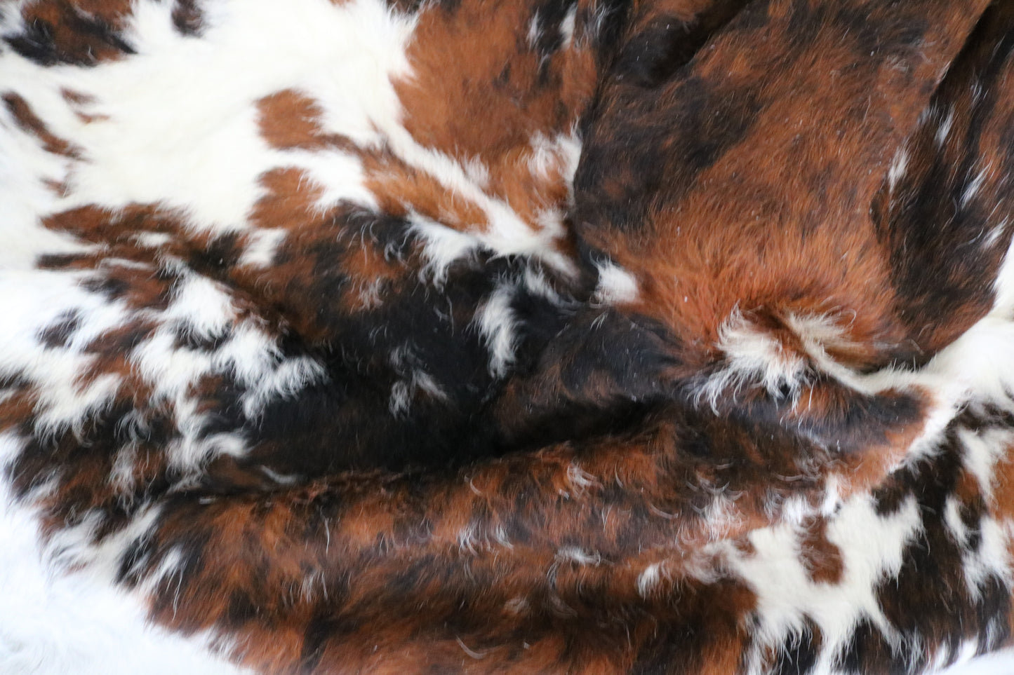 99080- Cowhide Rug Tapis Peau de Vache  Collection Quebecuir Premium