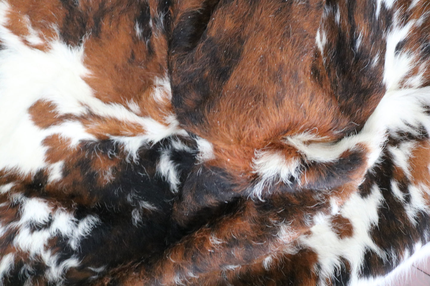 99080- Cowhide Rug Tapis Peau de Vache  Collection Quebecuir Premium