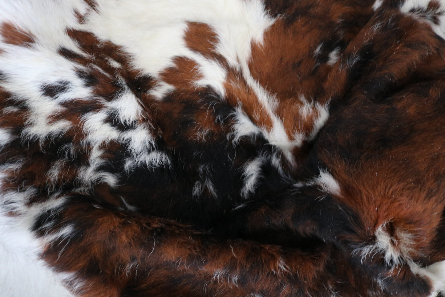 99080- Cowhide Rug Tapis Peau de Vache  Collection Quebecuir Premium
