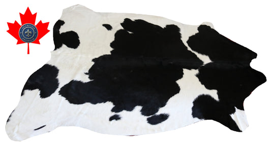 99081- Cowhide Rug Tapis Peau de Vache  Collection Quebecuir Premium