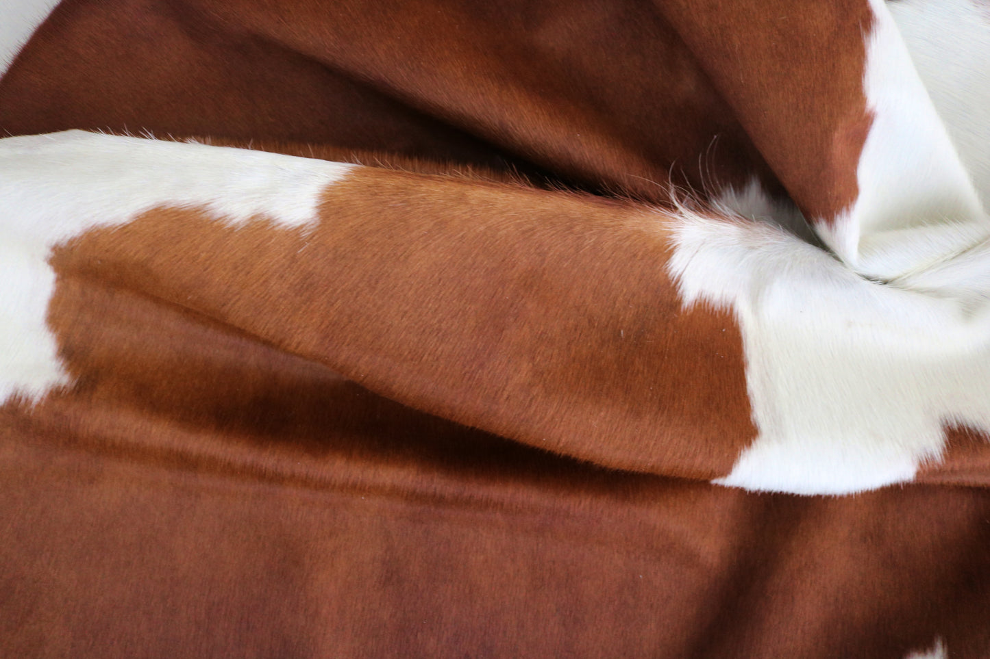 99175 - Cowhide Rug Tapis Peau de Vache  SUPER  BIG  SIZE XXXL - Collection Quebecuir Premium