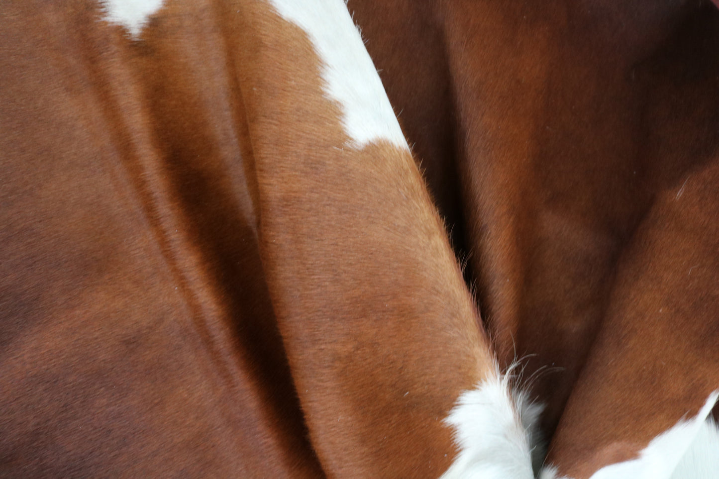 99175 - Cowhide Rug Tapis Peau de Vache  SUPER  BIG  SIZE XXXL - Collection Quebecuir Premium