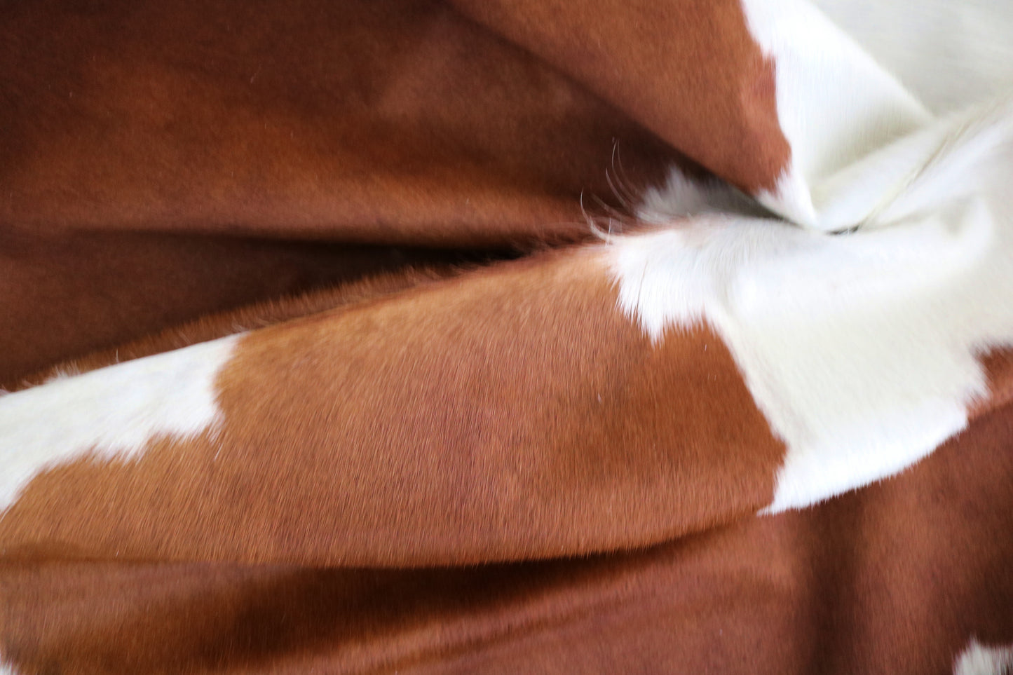 99175 - Cowhide Rug Tapis Peau de Vache  SUPER  BIG  SIZE XXXL - Collection Quebecuir Premium