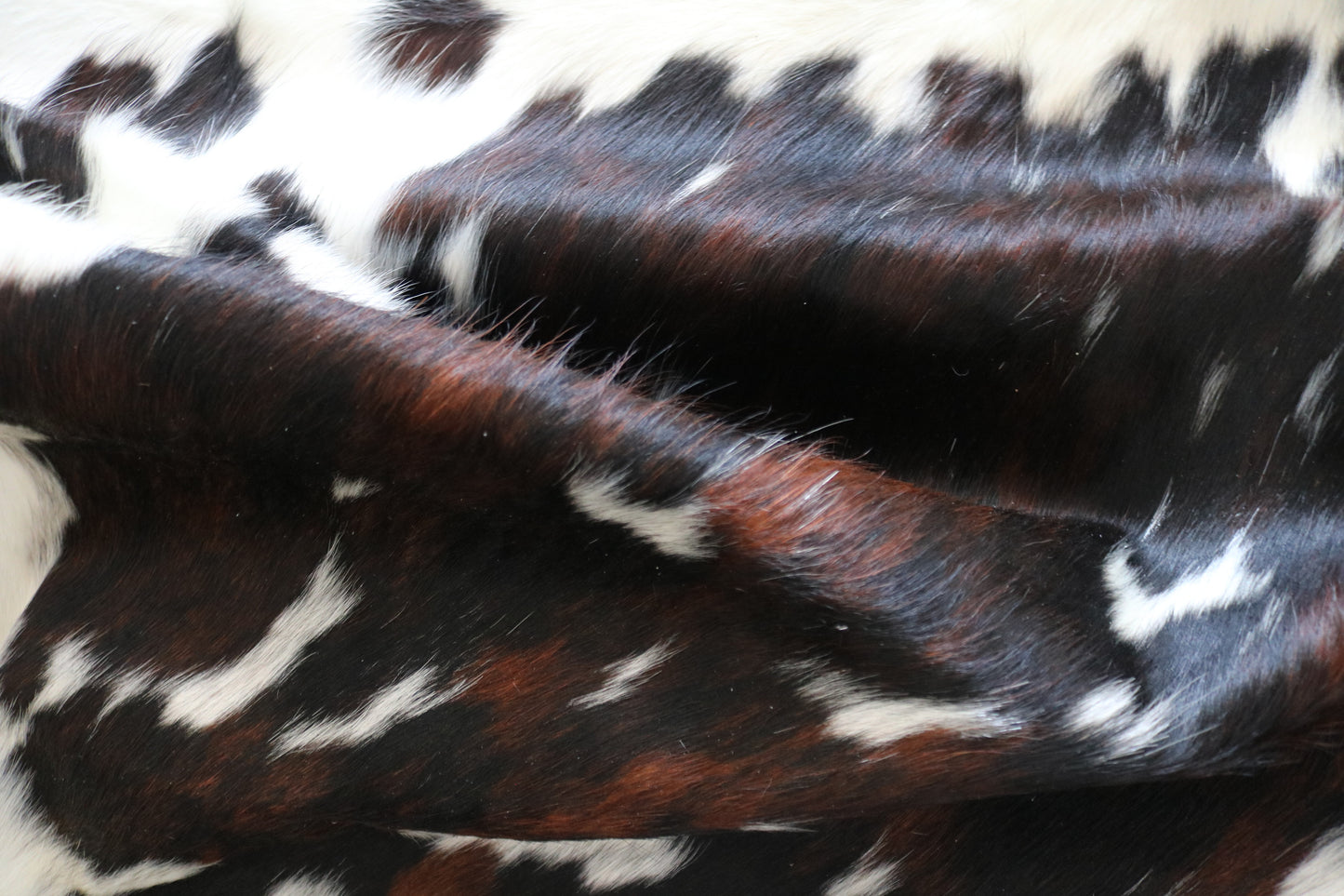 200497 - Cowhide Rug Tapis Peau de Vache  SUPER  BIG  SIZE XXXL - Collection Quebecuir Premium