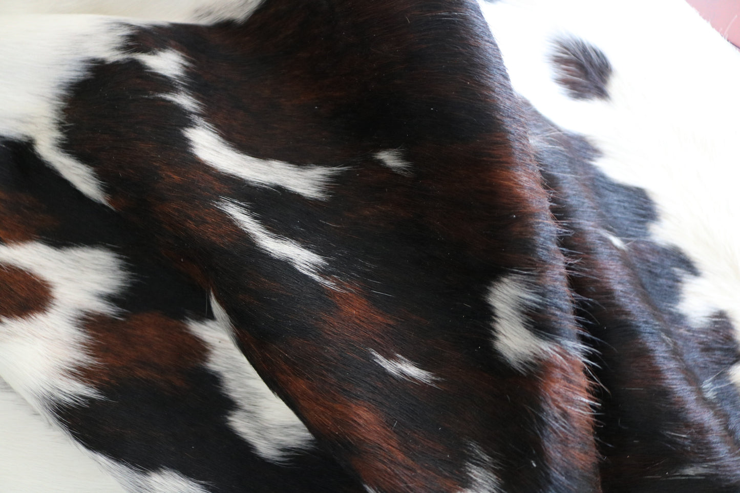 200497 - Cowhide Rug Tapis Peau de Vache  SUPER  BIG  SIZE XXXL - Collection Quebecuir Premium