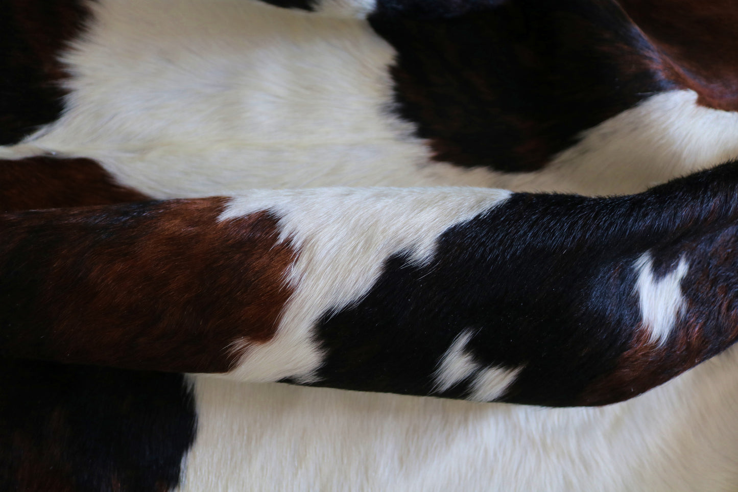 300477 - Cowhide Rug Tapis Peau de Vache -BIG SIZE XL Collection Quebecuir Premium