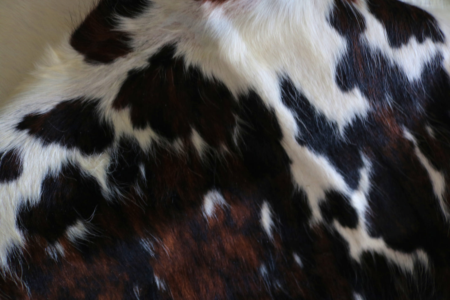 200499 - Cowhide Rug Tapis Peau de Vache  SUPER  BIG  SIZE XXXL - Collection Quebecuir Premium