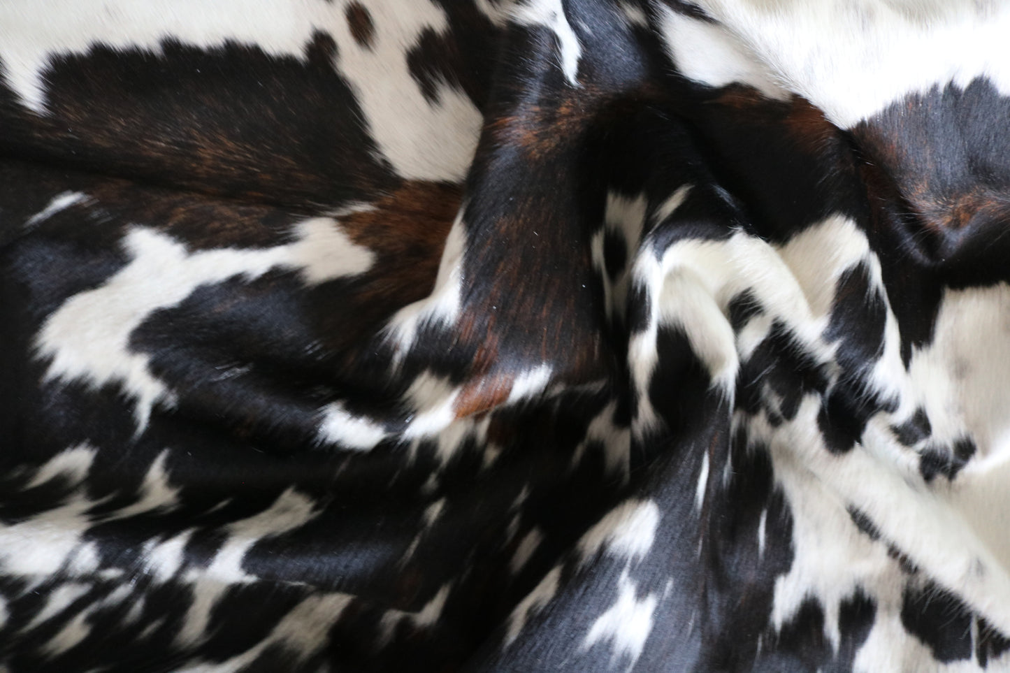 99177 - Cowhide Rug Tapis Peau de Vache  SUPER  BIG  SIZE XXXL - Collection Quebecuir Premium