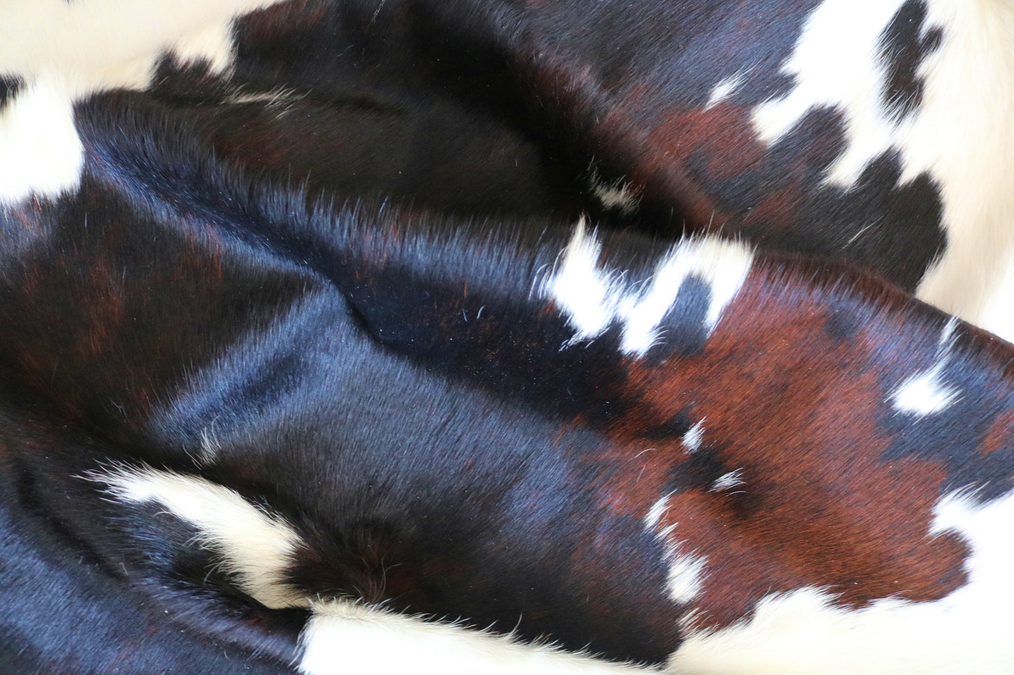 99180 - Cowhide Rug Tapis Peau de Vache  SUPER  BIG  SIZE XXXL - Collection Quebecuir Premium