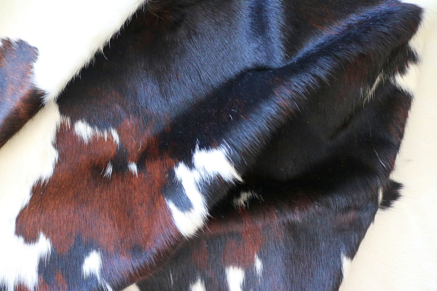 99180 - Cowhide Rug Tapis Peau de Vache  SUPER  BIG  SIZE XXXL - Collection Quebecuir Premium