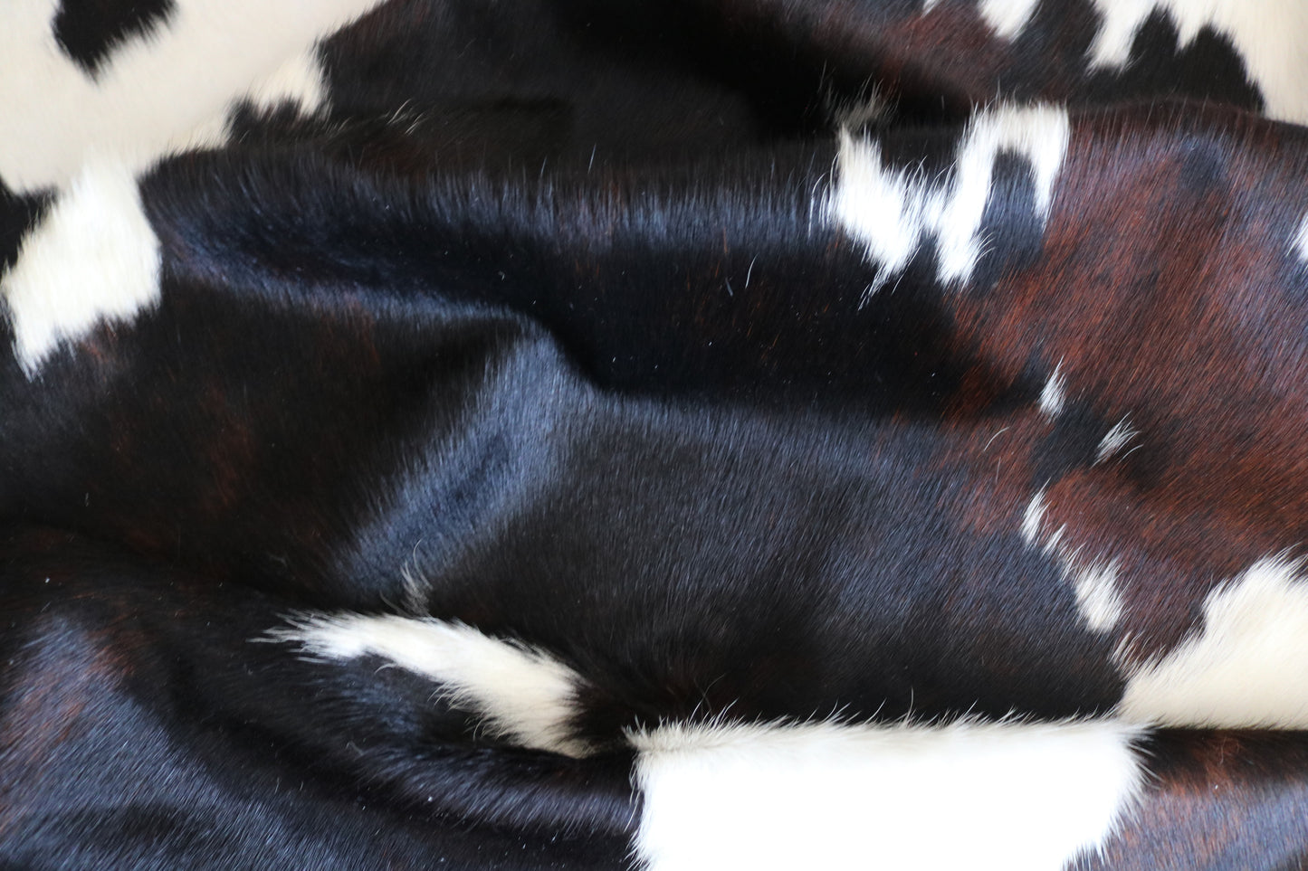 99180 - Cowhide Rug Tapis Peau de Vache  SUPER  BIG  SIZE XXXL - Collection Quebecuir Premium