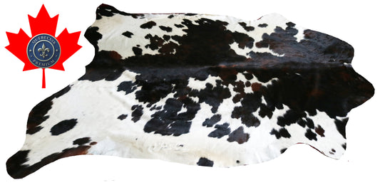 200501 - Cowhide Rug Tapis Peau de Vache  SUPER  BIG  SIZE XXXL - Collection Quebecuir Premium