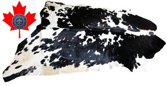 200502 - Cowhide Rug Tapis Peau de Vache  SUPER  BIG  SIZE XXXL - Collection Quebecuir Premium