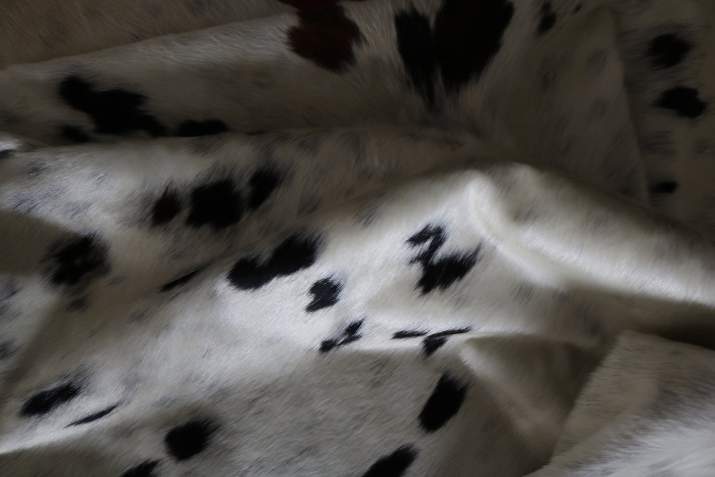 200505 - Cowhide Rug Tapis Peau de Vache  SUPER  BIG  SIZE XXXL - Collection Quebecuir Premium