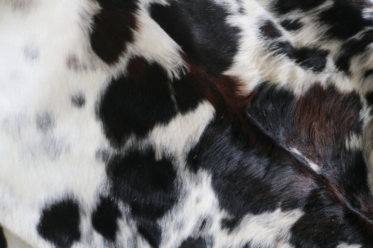 200505 - Cowhide Rug Tapis Peau de Vache  SUPER  BIG  SIZE XXXL - Collection Quebecuir Premium